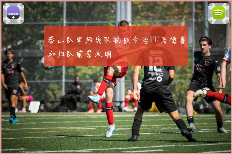 泰山队军师离队执教今治FC马德鲁加归队前景未明