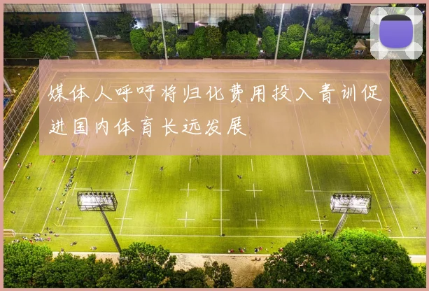 媒体人呼吁将归化费用投入青训促进国内体育长远发展